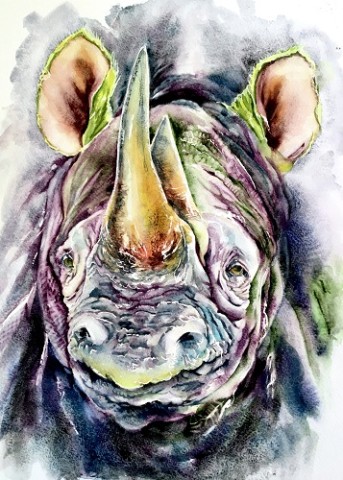 Venerable Victor.  A contemporary wildlife watercolour painting of an endangered black rhino.