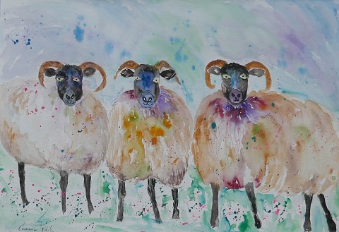 Three Quirky Sheep