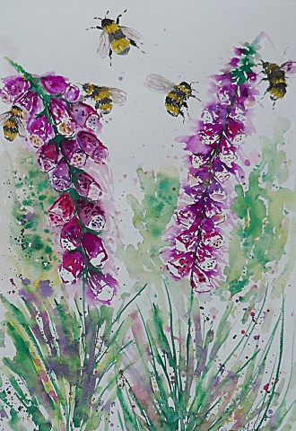 Bumble bees and Foxglove
