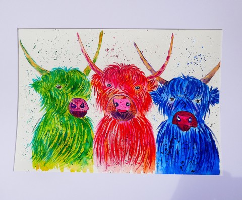 Silly Colourful Highland Cows 