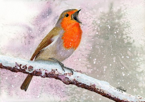 Robin': A Festive Snowbird Serenade