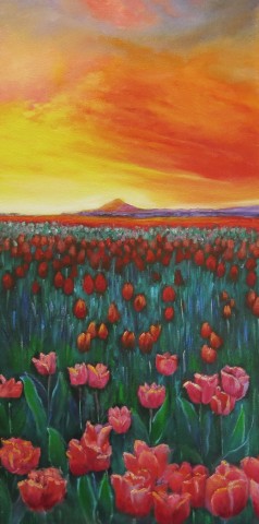 Sunset and Tulips