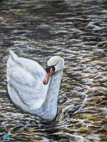 A Swan on Cosmeston Lake