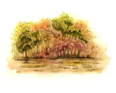Autumn Trees Landscape