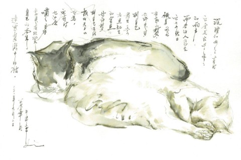 Two Sleeping Cats