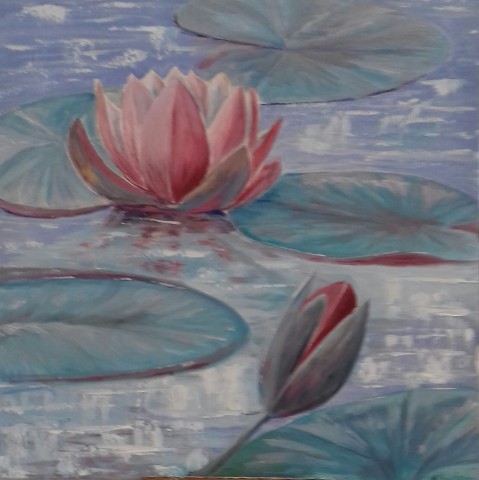 Water Lily in Pink