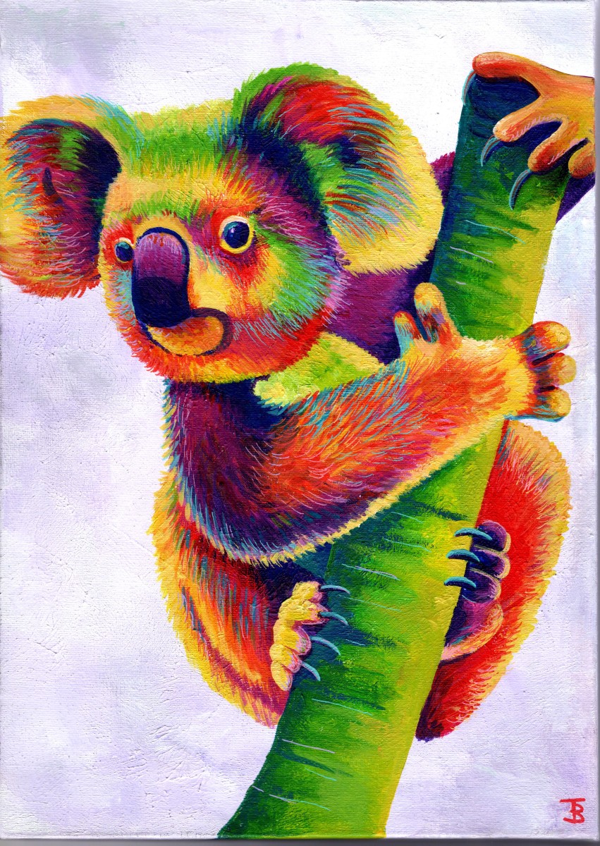 Rainbow Koala